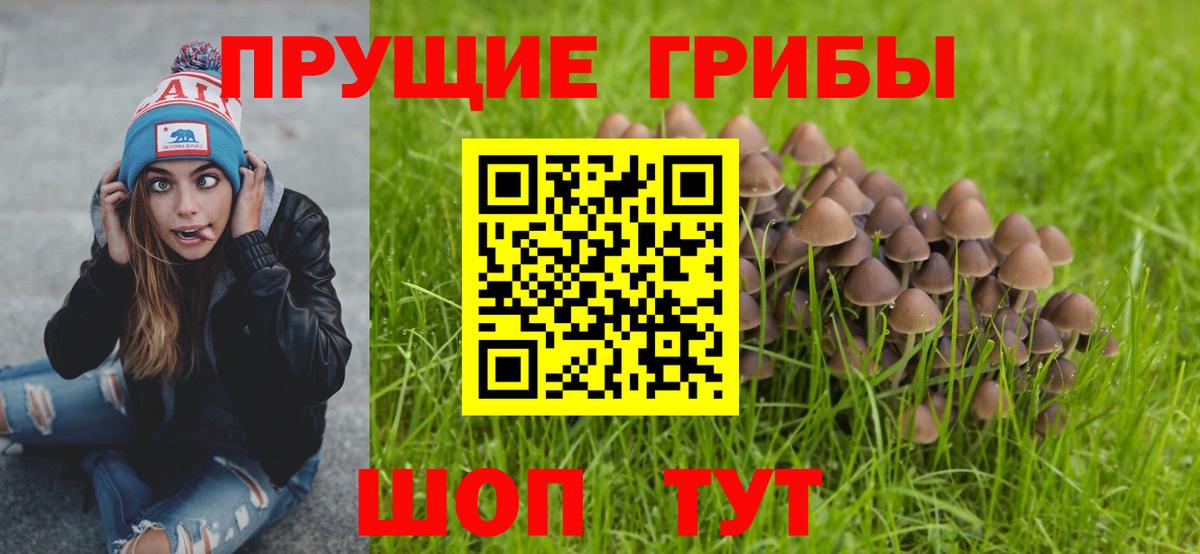 Галлюциногенные грибы ЛСД  Вход с VPN  Междуреченск 